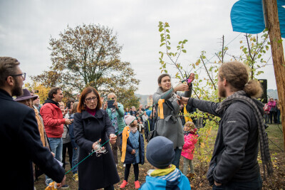 Spojrzenie na Gdańsk. Otwarcie widoku we Wrzeszczu