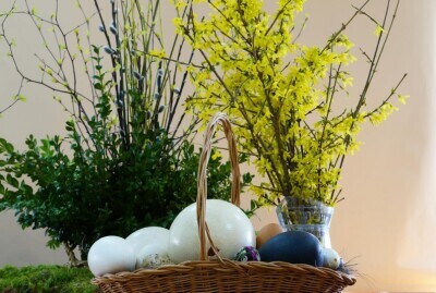 Sprawy jaj ptasich w gdańskim zoo