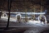Świąteczne iluminacje