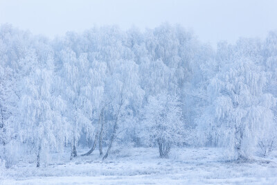 Gdańsk przykryła szadź