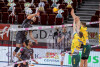 Trefl Gdańsk - Aluron CMC Warta Zawiercie 3:1