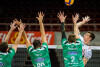 Trefl Gdańsk - Indykpol AZS Olsztyn