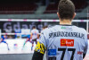 Trefl Gdańsk - Verva Warszawa Orlen Paliwa 3:1