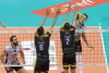 Trefl Gdańsk - PGE Skra Bełchatów