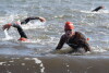 Triathlon Gdańsk 2019