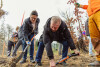 Trzeci mikrolas w Gdańsku. Wspólne sadzenie w Pieckach - Migowie