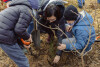 Trzeci mikrolas w Gdańsku. Wspólne sadzenie w Pieckach - Migowie