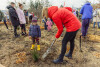 Trzeci mikrolas w Gdańsku. Wspólne sadzenie w Pieckach - Migowie