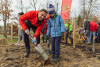 Trzeci mikrolas w Gdańsku. Wspólne sadzenie w Pieckach - Migowie