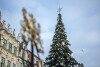 Ustawianie choinki na Długim Targu
