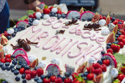 W Kalejdoskopie Doświadczeń 30-Lecie Mrowiska