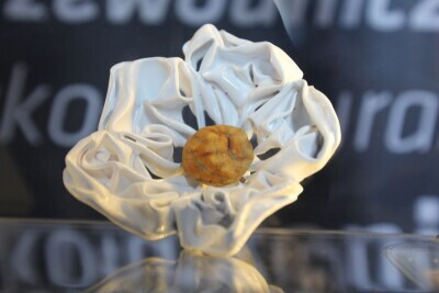 Warsztaty Bursztynnicze