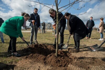 Wiosenne sadzenie drzew w Parku Diany