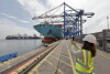 Wizyta w Baltic Hub - Terminal Kontenerowy DCT