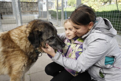 Wizyta w schronisku Promyk z okazji Światowego Dnia Zwierząt.
