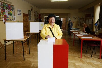 Wybory do rad dzielnic i osiedli