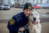 Żaneta Zander i pies Marley pracujący w Straży Miejskiej