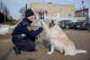 Żaneta Zander i pies Marley pracujący w Straży Miejskiej