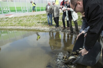 Zarybianie zbiornika przy ul. Słowackiego