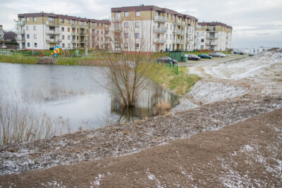 Zielony staw - zagospodarowanie terenu