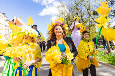 Żonkilowa Parada w ramach akcji Pola Nadziei