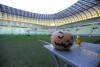  Halloweenowe zwiedzanie największej dyni na świecie - Stadionu Energa Gdańsk