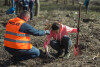 Akcja - Łączą nas drzewa. Sadzenie drzew w Parku Reagana