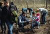 Akcja - Łączą nas drzewa. Sadzenie drzew w Parku Reagana