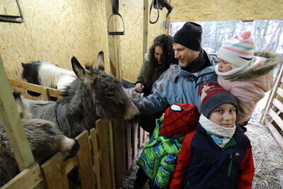 Gdańskie Szopki Bożonarodzeniowe