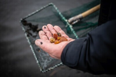 Poławiacze bursztynu po sztormie