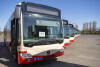 Prezentacja nowych autobusów GAiT