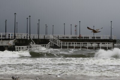 Wichura  i cofka w Brzeźnie